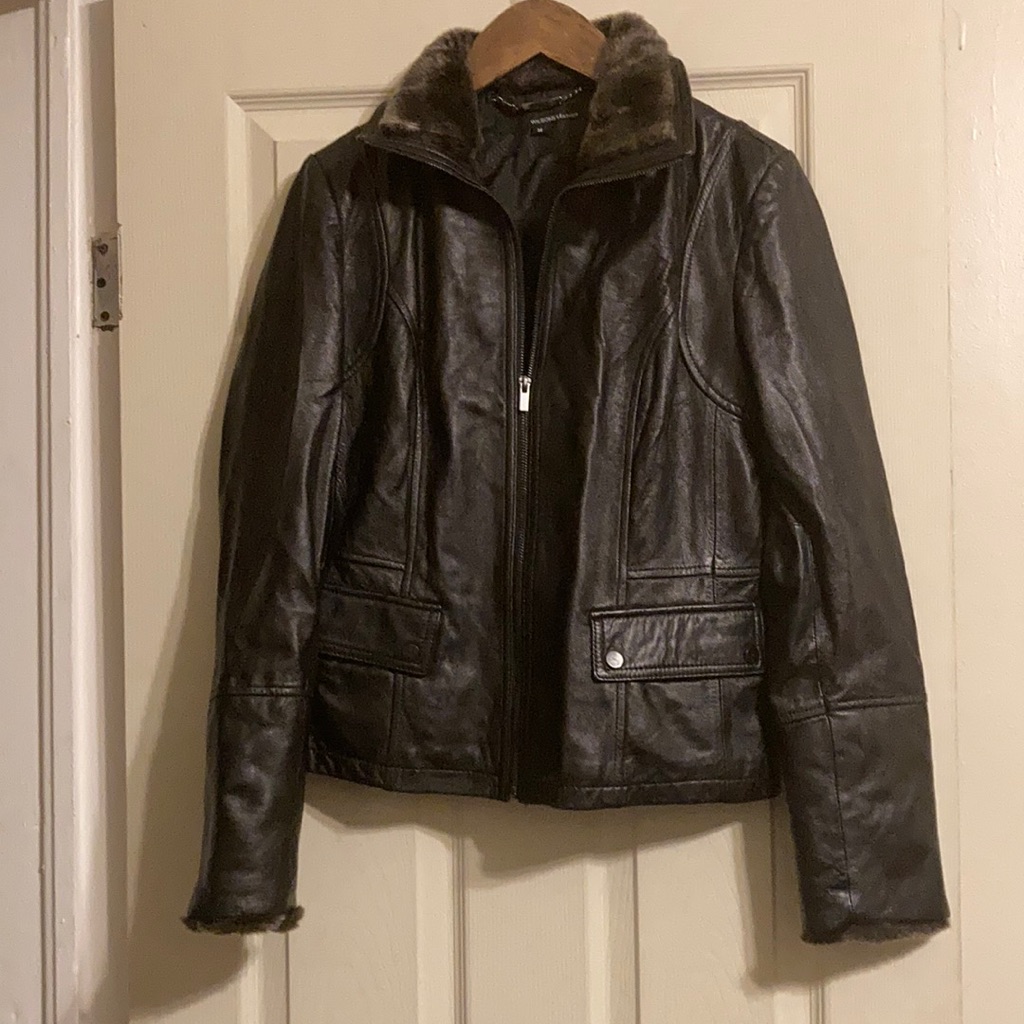Wilson’s Leatherjacket